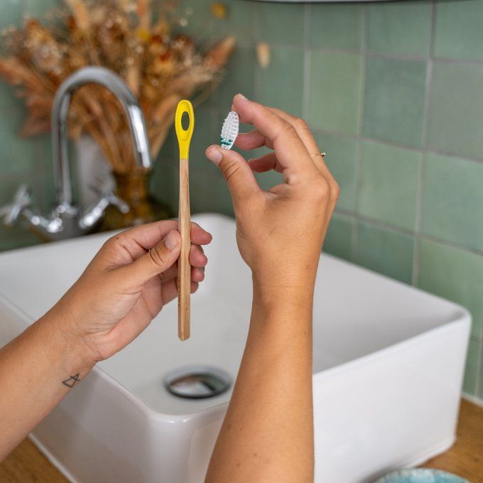 Lot de 3 têtes rechargeables pour brosse à dent La Maline - Adulte